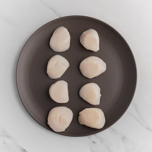 Scallops